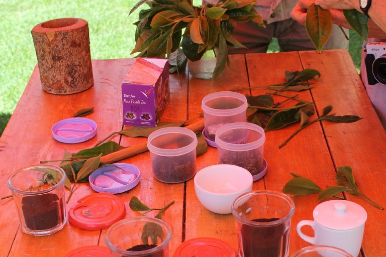 day-tour-to-kiambethu-tea-farm-3