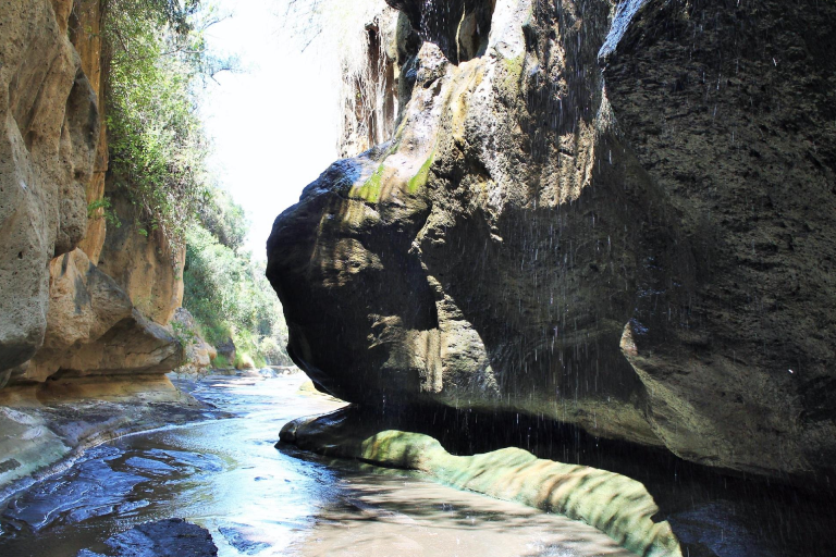 day-tour-to-lake-naivasha-and-hells-gate-park-1