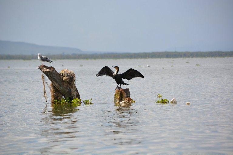 day-tour-to-lake-naivasha-and-hells-gate-park-3