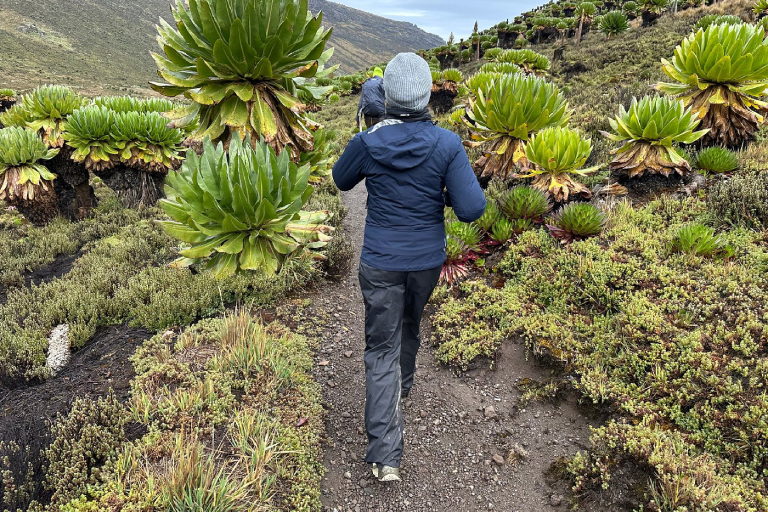 day-tour-to-mount-kenya-1