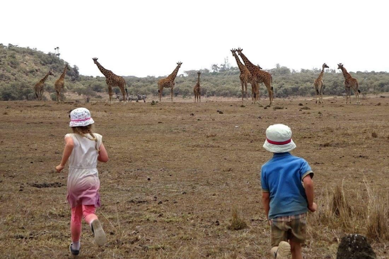 day-tour-to-mt-longonot-3