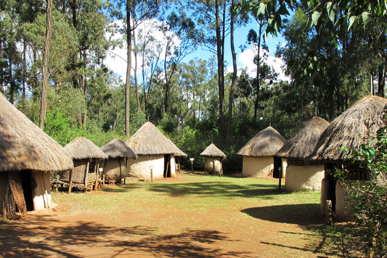 day-tours-excursions-to-giraffe-elephants-and-bomas-of-kenya-2