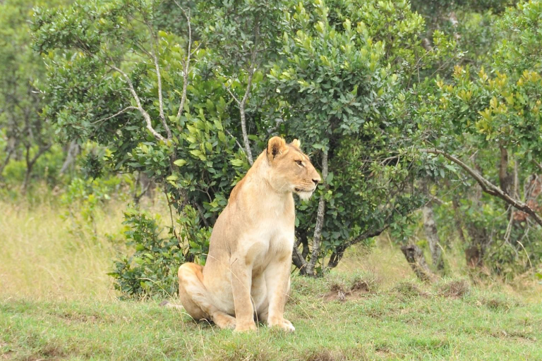 day-trip-to-ol-pejeta-conservancy-2