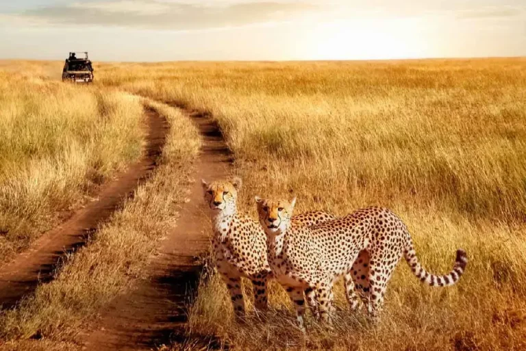 kenya-travel-safety-4