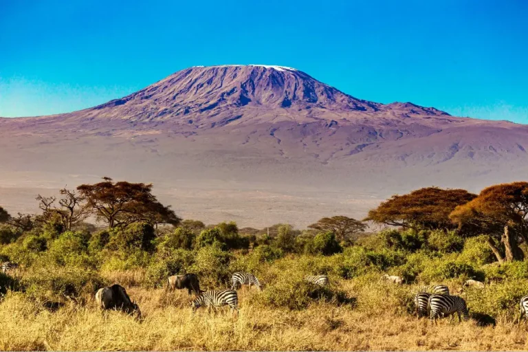 kilimanjaro-national-park-1