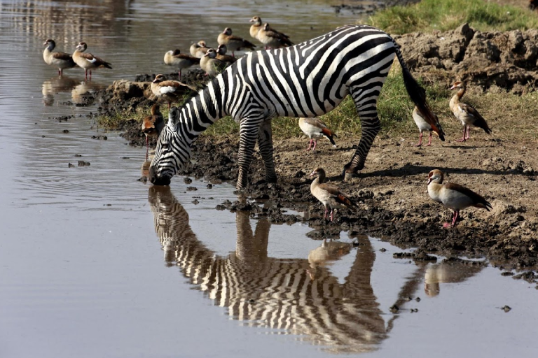 lake-bogoria-1 (1)
