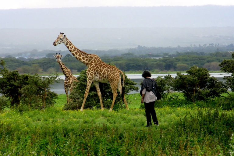 lake-naivasha-4