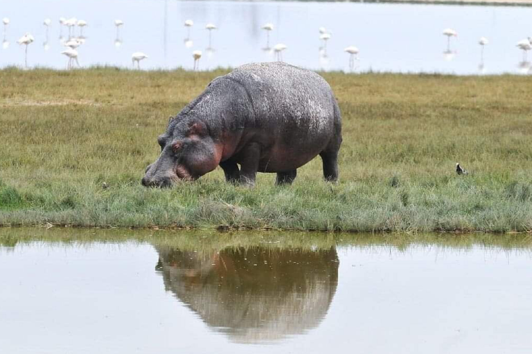 lake-nakuru-day-trip-3