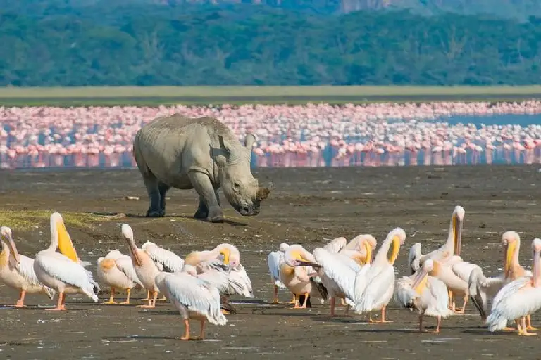 lake-nakuru-national-park-1