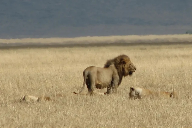 ngorongoro-crater-3