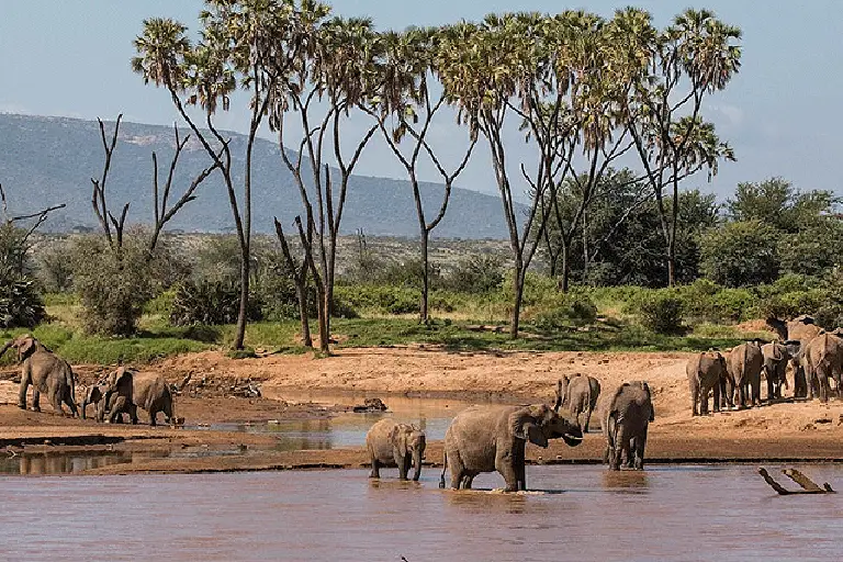 samburu-game-reserve-3
