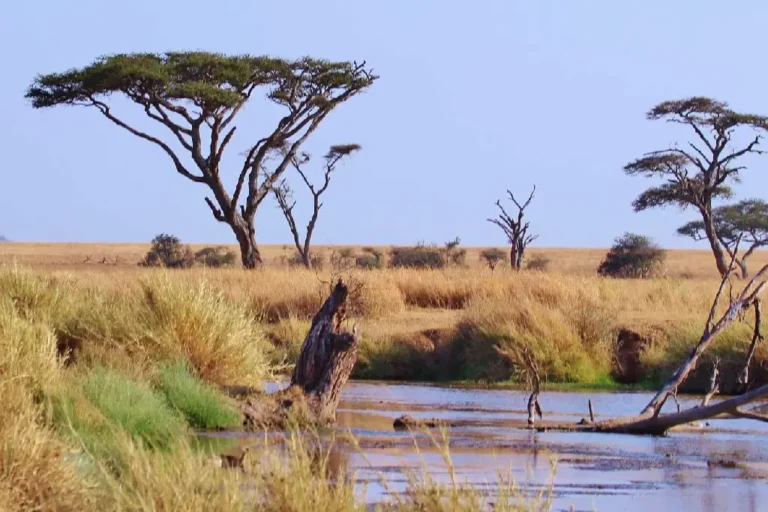 serengeti-national-park-3
