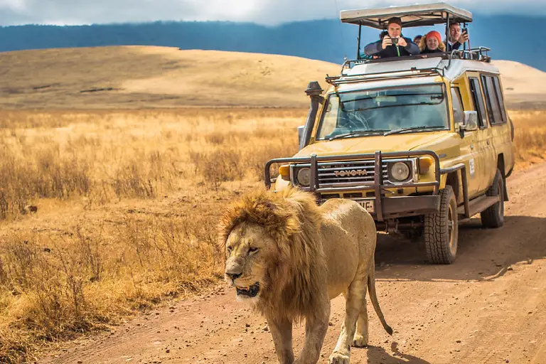 tanzania-safari-cost-1