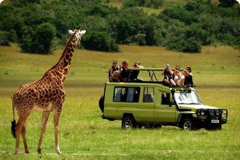 tanzania-safari-cost-2