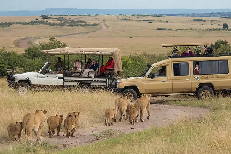 tanzania-safari-cost-3