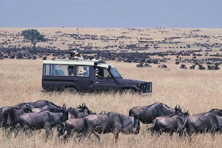 tanzania-safari-preparation-1