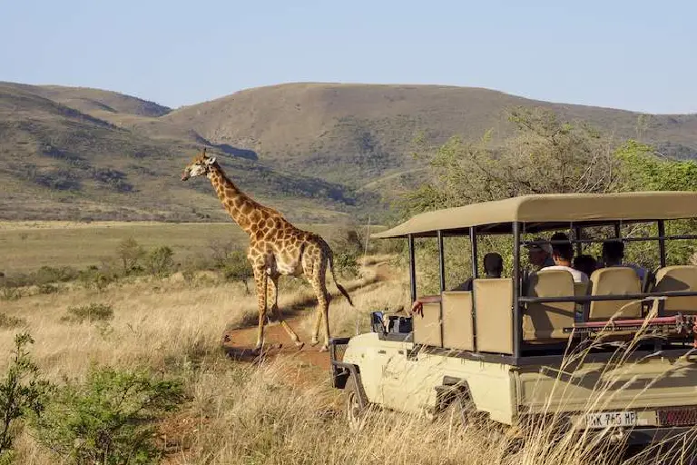 tanzania-safari-preparation-2