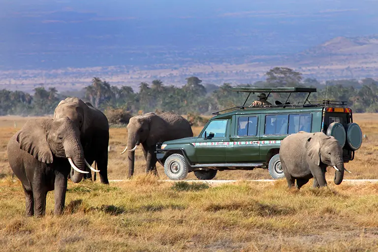 tanzania-safari-preparation-3