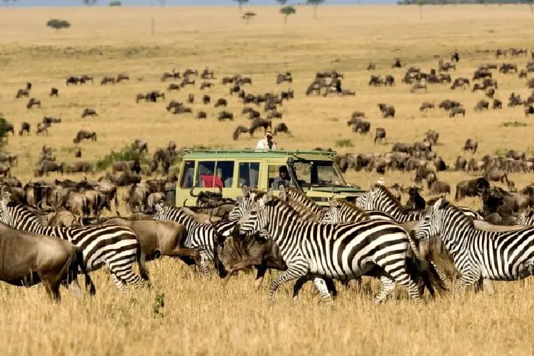 tanzania-safari-preparation-4