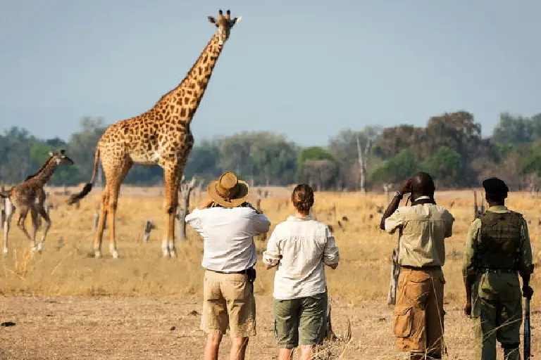 tanzania-travel-safety-1