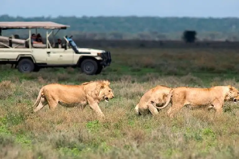 tanzania-travel-safety-2