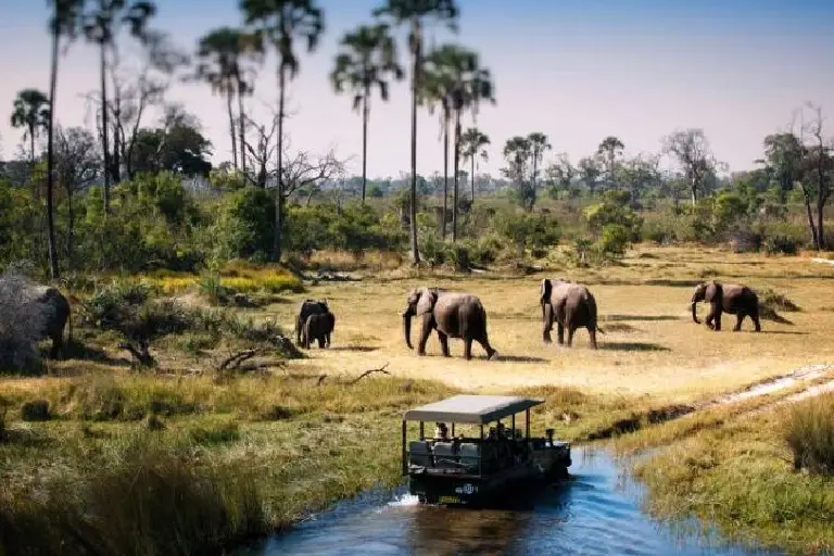 tanzania-travel-safety-3