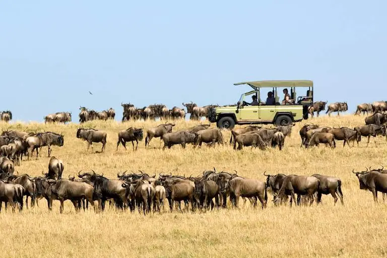 tanzania-travel-safety-4