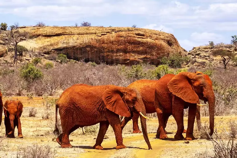 tsavo-east-national-park-3