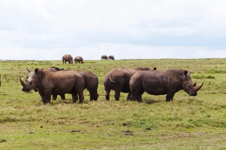 tsavo-west-national-park-2