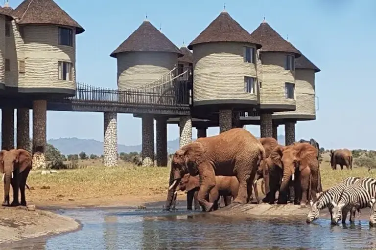 tsavo-west-national-park-4