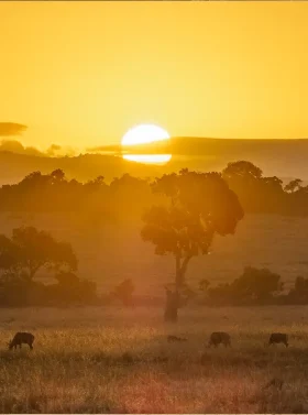 2-days-masai-mara-national-reserve-banner