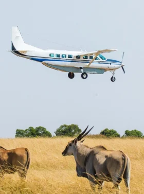 3-days-samburu-flying-safari