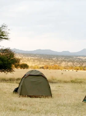 4-days-masai-mara-camping-banner