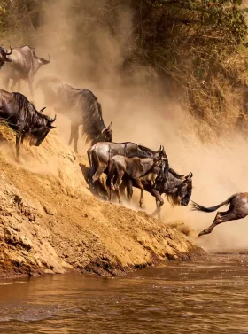 4-days-masai-mara-lake-naivasha-banner