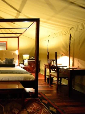 5-days-masai-mara-or-lake-nakuru-camping