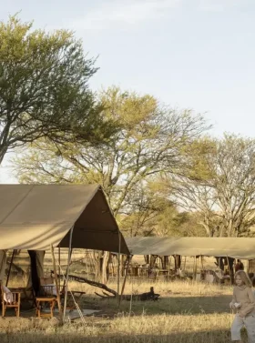 5-days-private-budget-camping-safari-banner