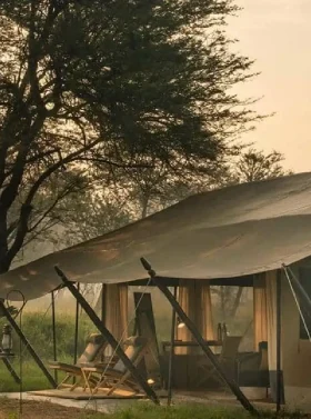 7-days-kenya-tanzania-combined-camping-safari-banner