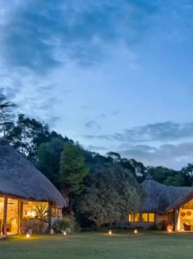 8-days-kenya-and-tanzania-private-lodging-safari-banner